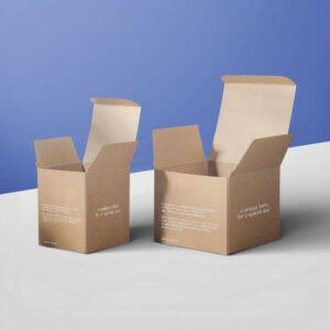 custom kraft boxes