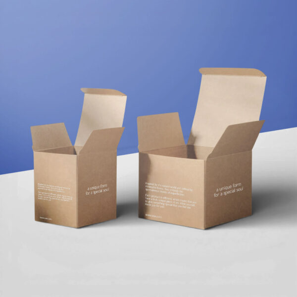 custom kraft boxes