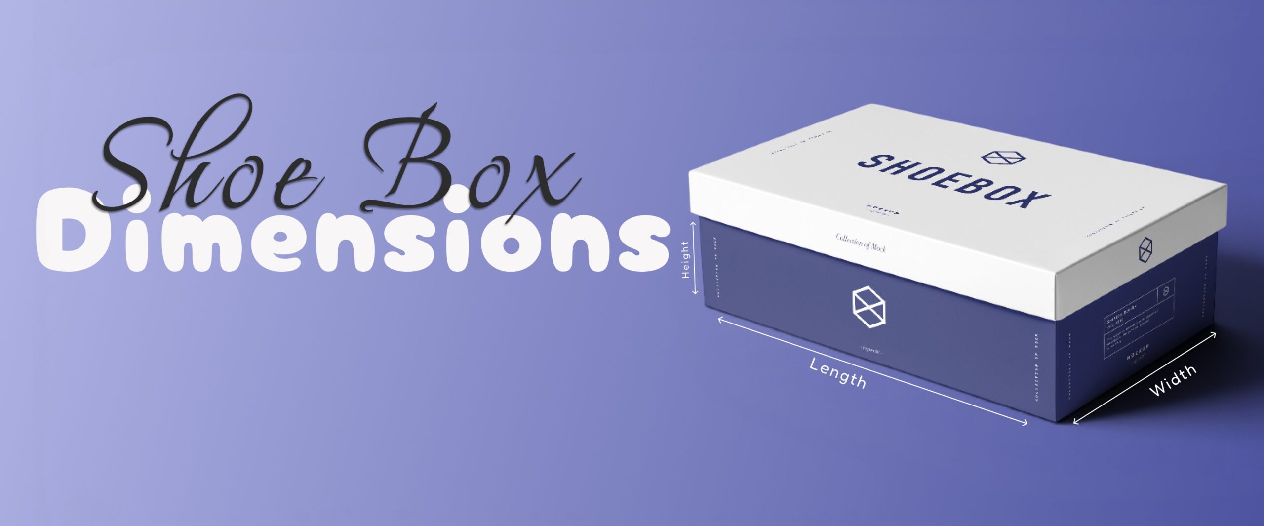 Shoe Box Dimensions